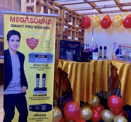 Sing Your Heart Out with Megasound Smart PRO Videoke